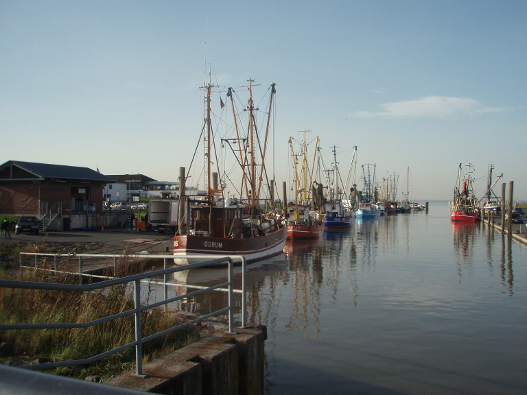 Hafen in Dorum